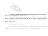 Badmintonas sporto medicinai 4 puslapis