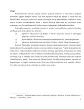 Bendradarbiavimas šiuolaikiniame mene  2 puslapis