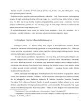 Bendradarbiavimas šiuolaikiniame mene  11 puslapis