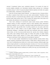 Bendradarbiavimas šiuolaikiniame mene  12 puslapis