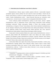 Bendradarbiavimas šiuolaikiniame mene  3 puslapis