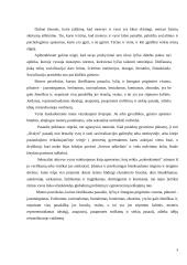 Buvimas moterimi 3 puslapis