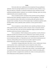 Bylos atnaujinimo dėl naujai paaiškėjusių aplinkybių institutas 2 puslapis