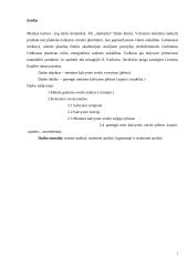 Menines kalvystes verslo vystymas (plėtra) 2 puslapis