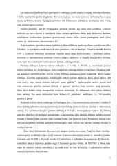 Menines kalvystes verslo vystymas (plėtra) 11 puslapis