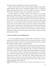 Menines kalvystes verslo vystymas (plėtra) 16 puslapis