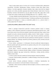 Menines kalvystes verslo vystymas (plėtra) 17 puslapis