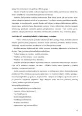 Menines kalvystes verslo vystymas (plėtra) 20 puslapis