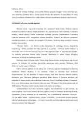 Menines kalvystes verslo vystymas (plėtra) 5 puslapis