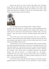 Menines kalvystes verslo vystymas (plėtra) 6 puslapis