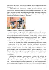 Menines kalvystes verslo vystymas (plėtra) 7 puslapis