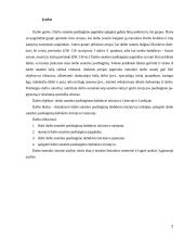 Darbo sutarties pasibaigimas darbdavio iniciatyva Lietuvoje ir Lenkijoje 2 puslapis