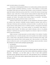 Darbo sutarties pasibaigimas darbdavio iniciatyva Lietuvoje ir Lenkijoje 4 puslapis