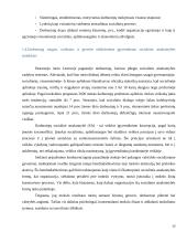 Darbuotojų socialinė atsakomybė  12 puslapis