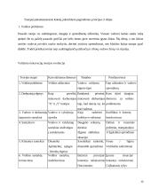 Darbuotojų motyvavimo sistemos tobulimas Všį Naujininkų poliklinikoje 12 puslapis