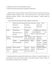 Darbuotojų motyvavimo sistemos tobulimas Všį Naujininkų poliklinikoje 4 puslapis