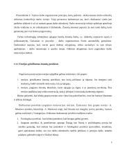 Darbuotojų motyvavimo sistemos tobulimas Všį Naujininkų poliklinikoje 5 puslapis