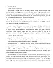 Darbuotojų motyvavimo sistemos tobulimas Všį Naujininkų poliklinikoje 7 puslapis