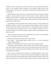 Darbuotojų motyvavimo sistemos tobulimas Všį Naujininkų poliklinikoje 8 puslapis