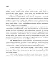 Darnaus vystymosi politika vandens kokybei 2 puslapis