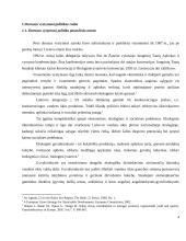 Darnaus vystymosi politika vandens kokybei 4 puslapis