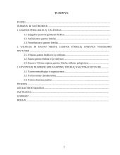 Darnus gamtos išteklių valdymas Vilniaus ir Kauno miestų pavyzdžiu 2 puslapis