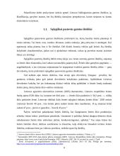 Darnus gamtos išteklių valdymas Vilniaus ir Kauno miestų pavyzdžiu 8 puslapis