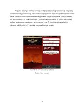 UAB “Strike Aviation LT" gamybinės praktikos ataskaita 18 puslapis