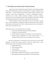 UAB “Strike Aviation LT" gamybinės praktikos ataskaita 20 puslapis