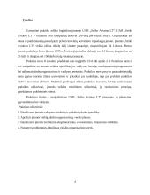 UAB “Strike Aviation LT" gamybinės praktikos ataskaita 4 puslapis