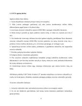 UAB “Strike Aviation LT" gamybinės praktikos ataskaita 9 puslapis