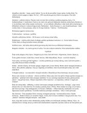 Didesnis regionų konspektas 2 puslapis