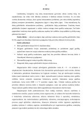 Padidinto ilgio prekinių traukinių eismo grafiko sudarymas geležinkelio linijoje  10 puslapis