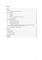 Diskriminacijos draudimai ir viešoji sutartis 2 puslapis