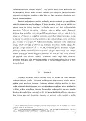 Diskriminacijos draudimai ir viešoji sutartis 13 puslapis