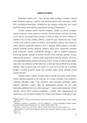 Diskriminacijos draudimai ir viešoji sutartis 9 puslapis