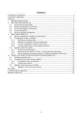 Drabužių gamybos ir prekybos kompanijos „INDITEX Group“ finansinės būklės analizė 2 puslapis