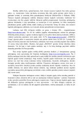 Drabužių gamybos ir prekybos kompanijos „INDITEX Group“ finansinės būklės analizė 13 puslapis