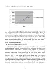 Drabužių gamybos ir prekybos kompanijos „INDITEX Group“ finansinės būklės analizė 16 puslapis