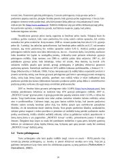 Drabužių gamybos ir prekybos kompanijos „INDITEX Group“ finansinės būklės analizė 10 puslapis
