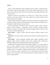 Energetikos infrastruktūros pokyčių įtaka aplinkos oro taršai 2 puslapis