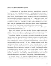 ES federalizacijos link 11 puslapis