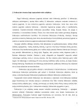 ES federalizacijos link 7 puslapis