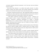 ES federalizacijos link 8 puslapis