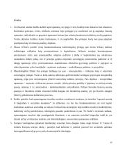 ES tapatybė ir kas yra europietis 13 puslapis