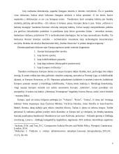 ES tapatybė ir kas yra europietis 4 puslapis