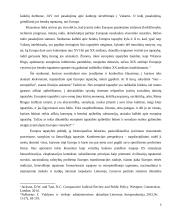 ES tapatybė ir kas yra europietis 5 puslapis