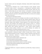 ES tapatybė ir kas yra europietis 8 puslapis