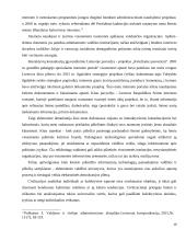 ES tapatybė ir kas yra europietis 10 puslapis