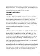 Protokolas ir etiketas Vidurio Europos kultūrinėje erdvėje (Čekijos Respublika, Slovakija) 4 puslapis